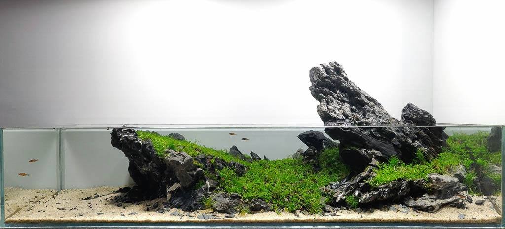aquascaping