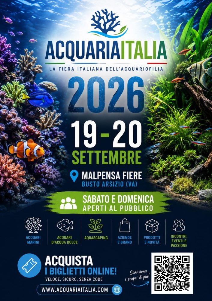 Locandina AcquariaItalia